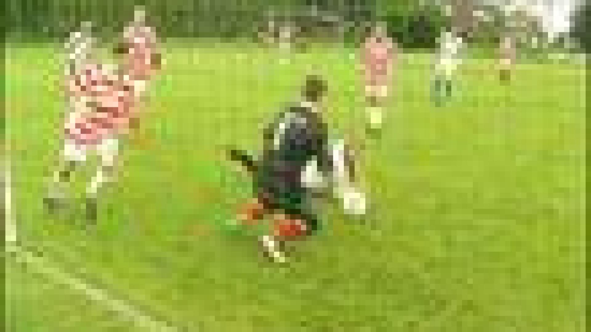 Standard : tournoi de supporters